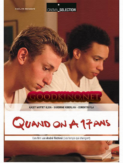 Когда тебе семнадцать (2016)