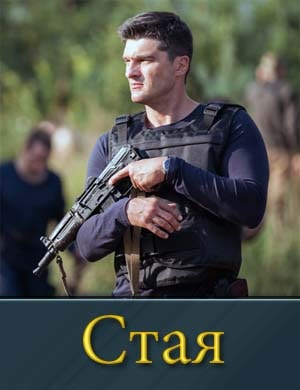 Стая на НТВ смотреть онлайн бесплатно