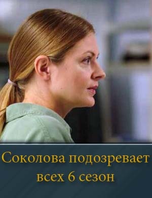 Соколова подозревает всех 6 сезон смотреть онлайн бесплатно
